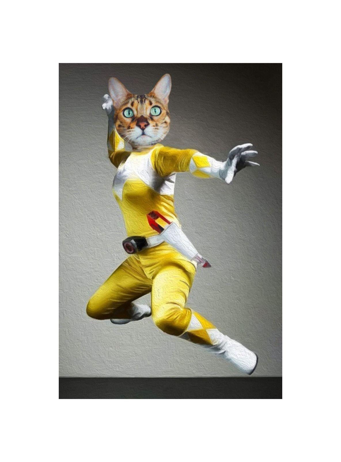 CUADRO DE TU MASCOTA PETPRINT POWER RANGER YELLOW CANVAS - 30X50 CM -0