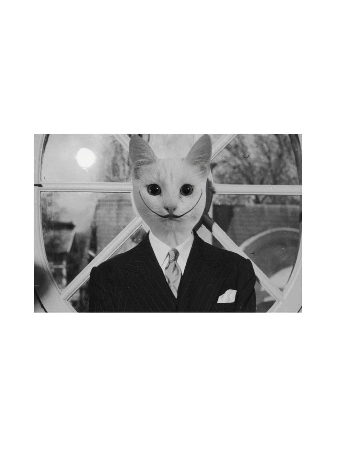 CUADRO DE TU MASCOTA PETPRINT SALVADOR DALI CANVAS - 20X30 CM -1