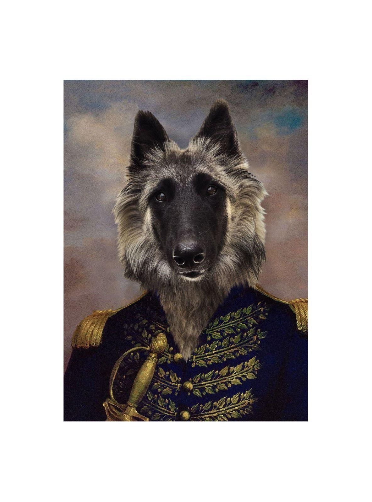 ILUSTRACION CAPITÁN CANVAS - 30X50 CM PETPRINT-0