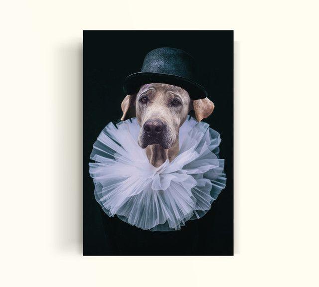 CUADRO DE TU MASCOTA PETPRINT PAYASO ARLEQUIN CANVAS - 20X30 CM-0