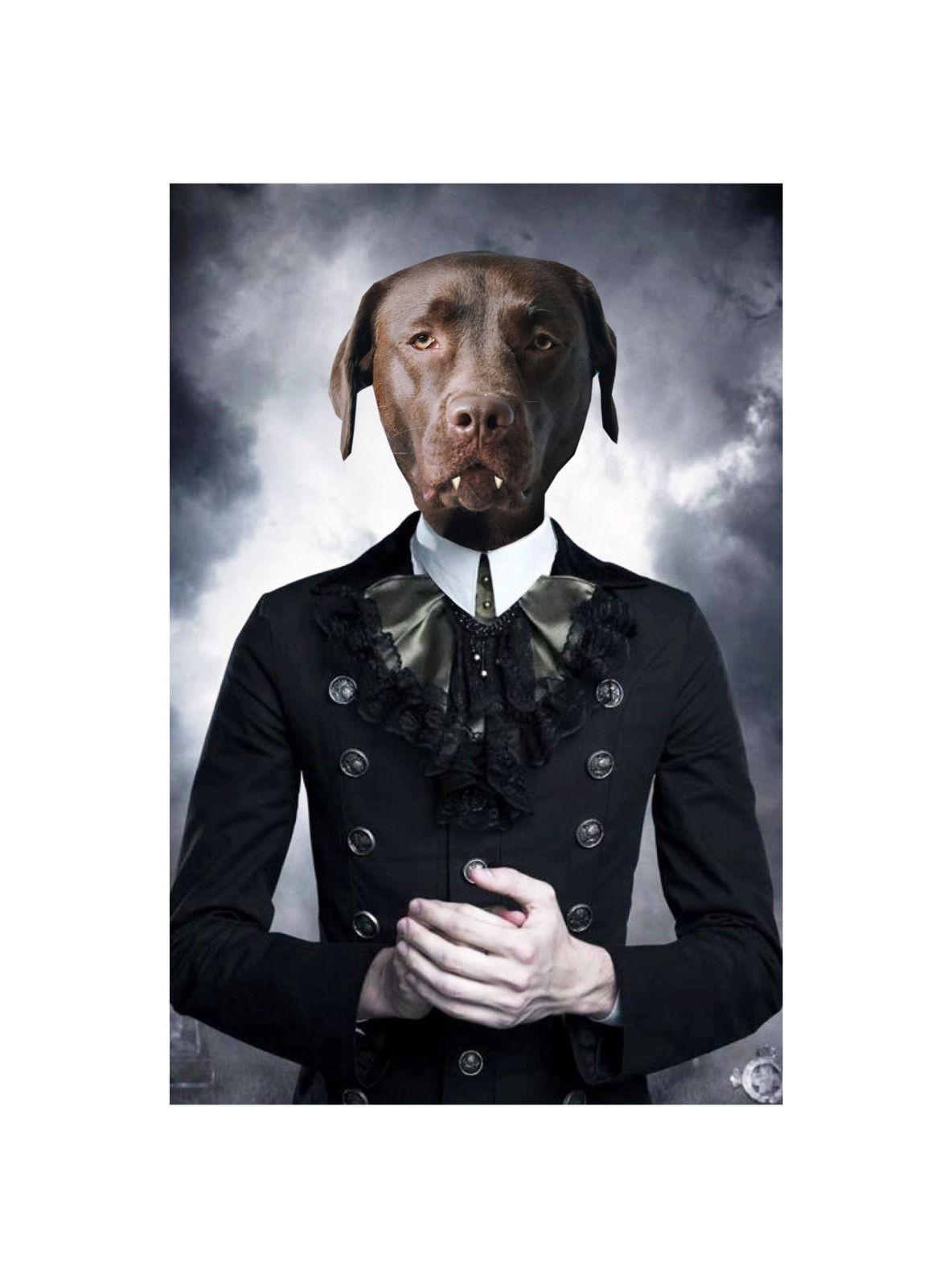 CUADRO DE TU MASCOTA PETPRINT VAMPIRO CANVAS - 40X60 CM -0