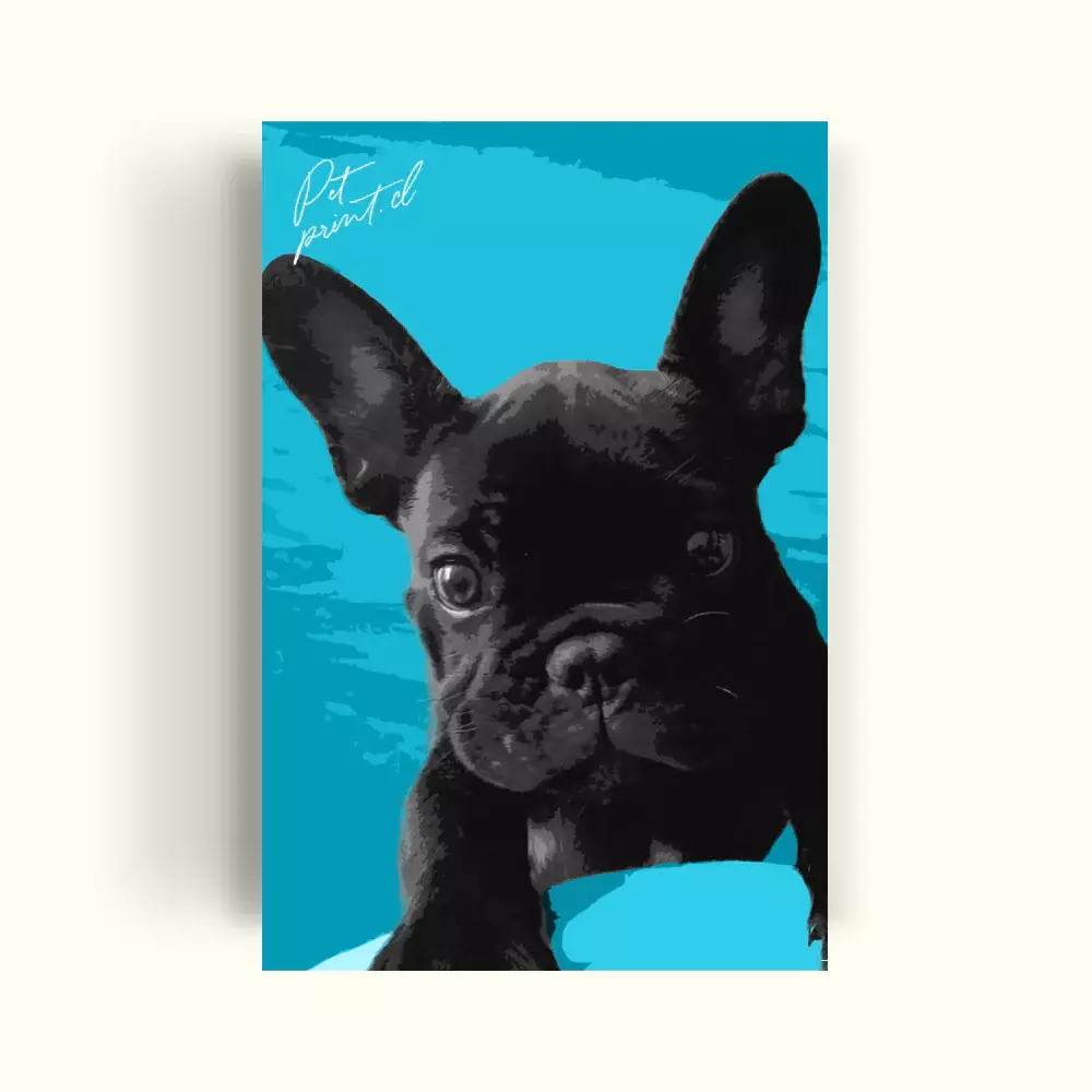 CUADRO DE TU MASCOTA PET PRINT RETRATO - FONDO CALIPSO CANVAS – 20X30 CM -0