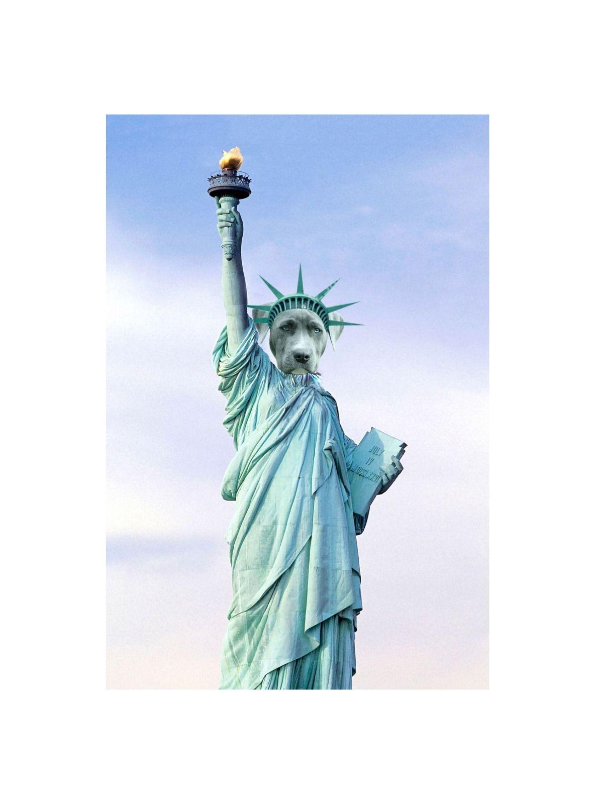 CUADRO DE TU MASCOTA PETPRINT ESTATUA DE LA LIBERTAD CANVAS - 40X60 CM -0