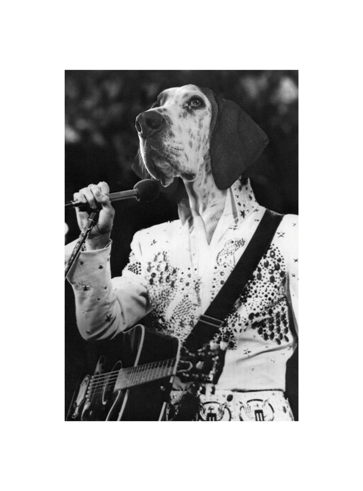 CUADRO DE TU MASCOTA PETPRINT ELVIS CANVAS - 40X60 CM -0