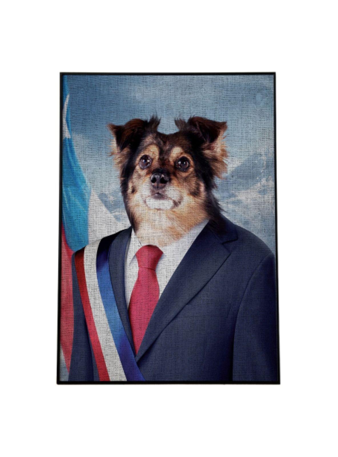 ILUSTRACION PRESIDENCIAL CANVAS - 20X30 CM PETPRINT-0