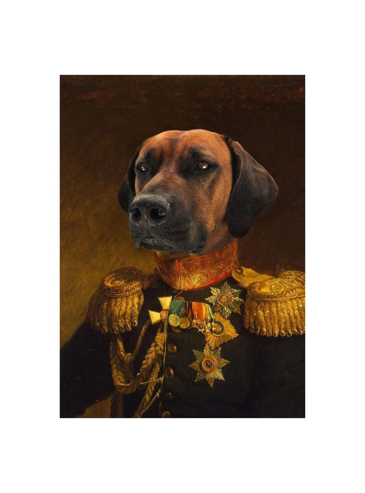CUADRO DE TU MASCOTA PETPRINT EL GENERAL CANVAS - 40X60 CM -0
