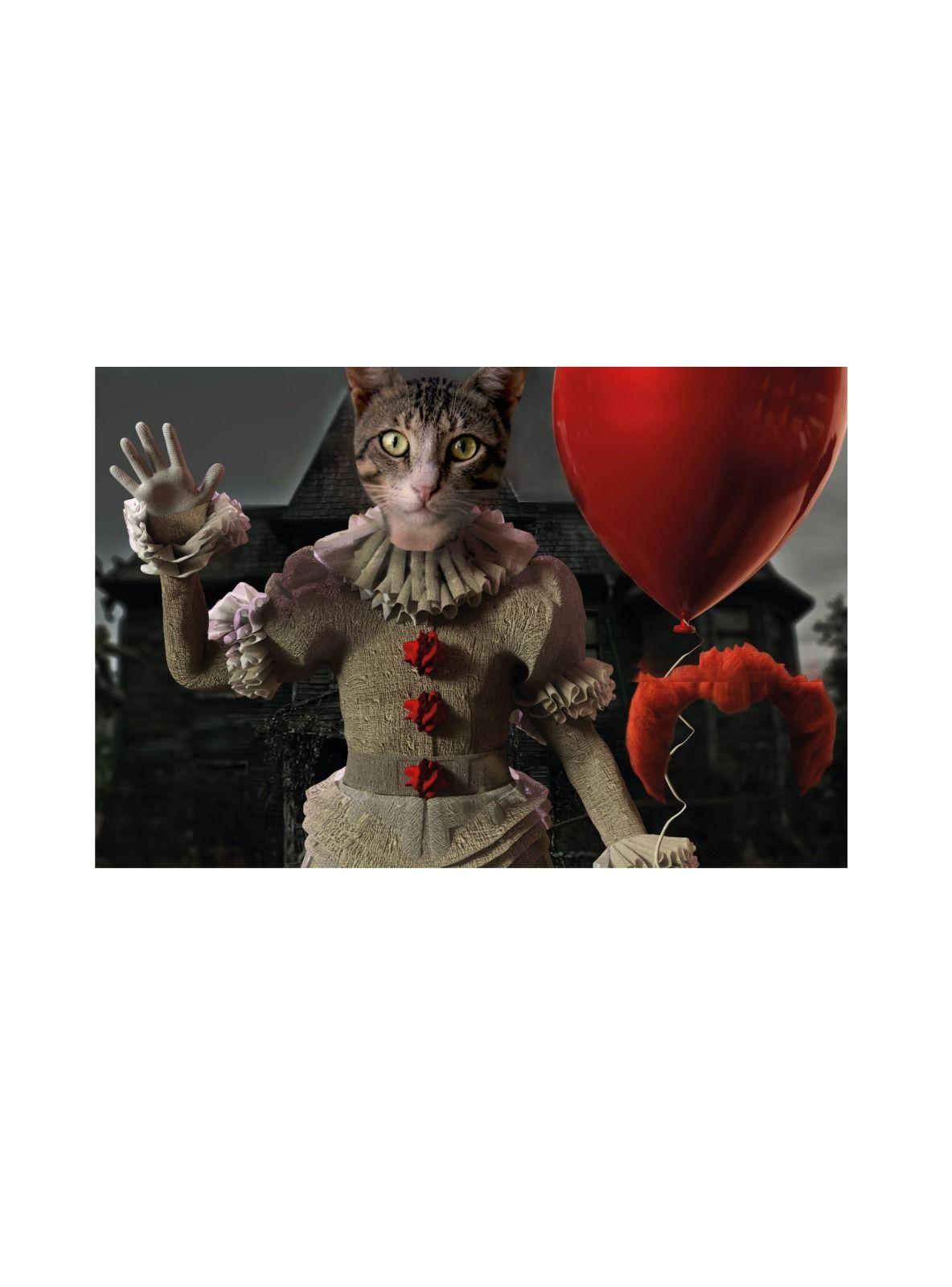 CUADRO DE TU MASCOTA PETPRINT IT EL PAYASO HORIZONTAL CANVAS - 30X50 CM -0