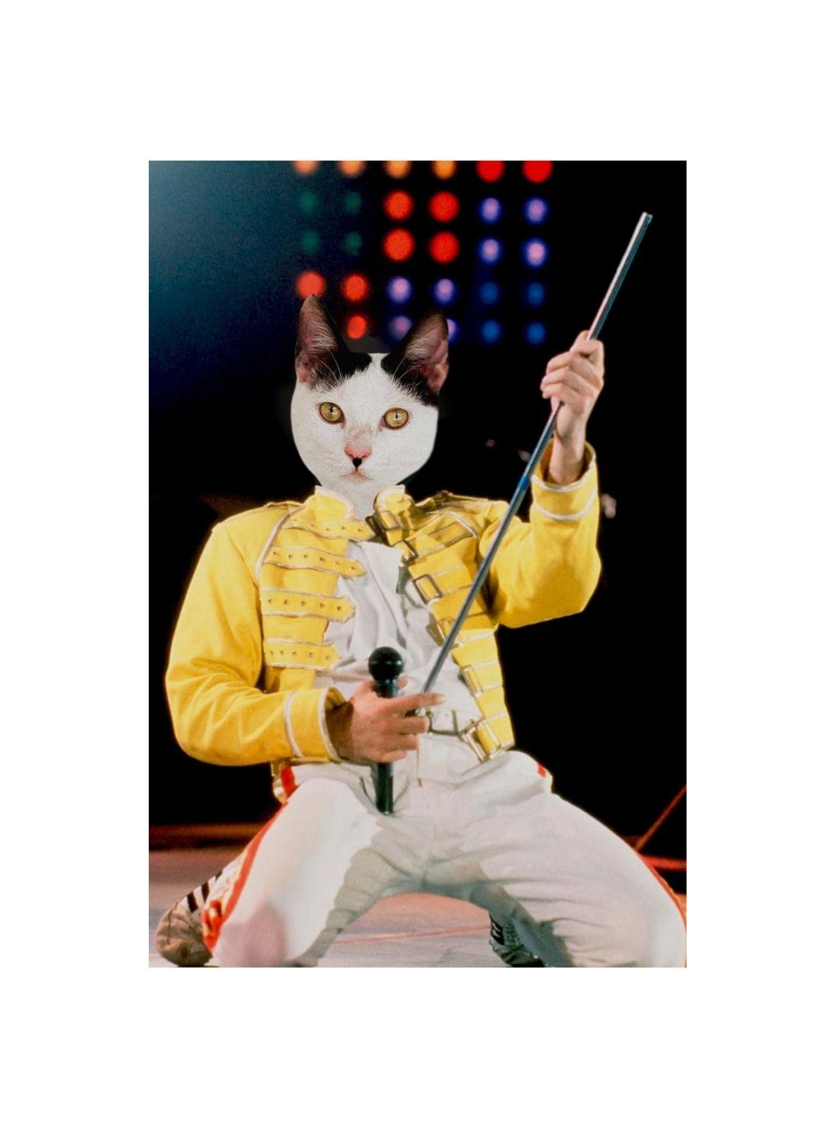 CUADRO DE TU MASCOTA PETPRINT FREDDY MERCURY CANVAS - 40X60 CM -1