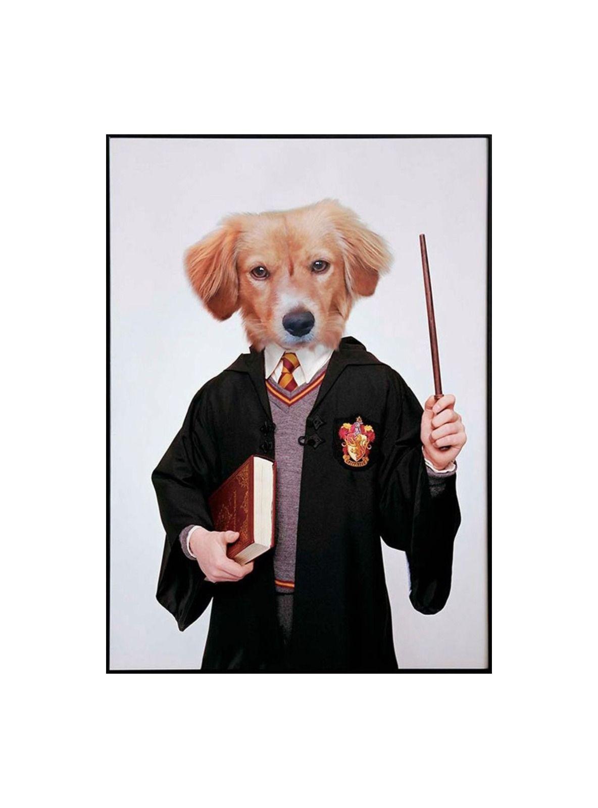 CUADRO DE TU MASCOTA PETPRINT RON WEASLEY CANVAS - 30X50 CM -1