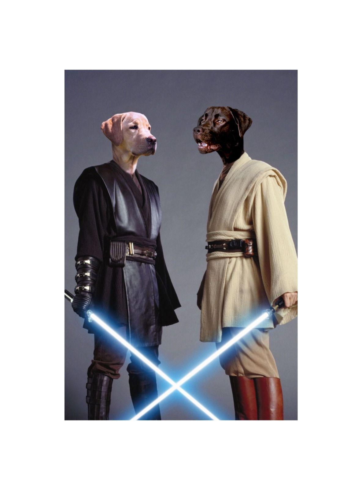 CUADRO DE TU MASCOTA PETPRINT STAR WARS CANVAS - 30X50 CM -0