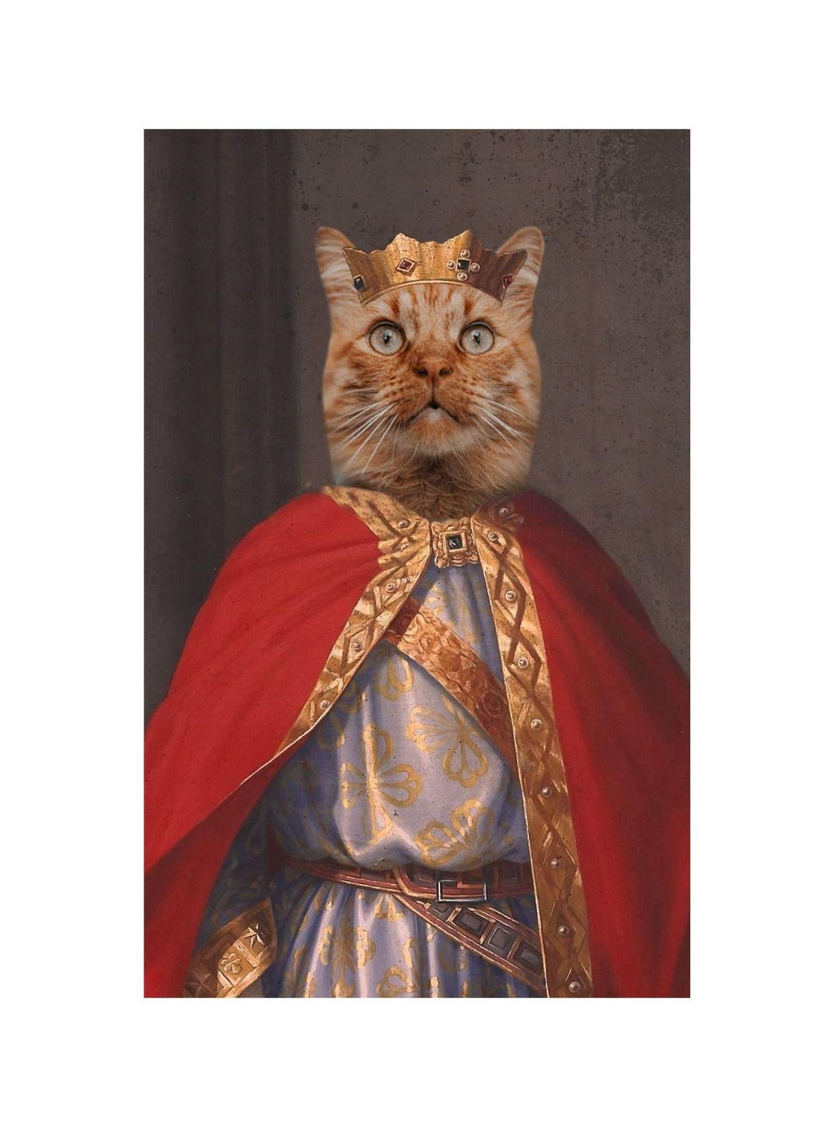 ILUSTRACION REY DE ASTURIAS CANVAS - 20X30 CM PETPRINT-0
