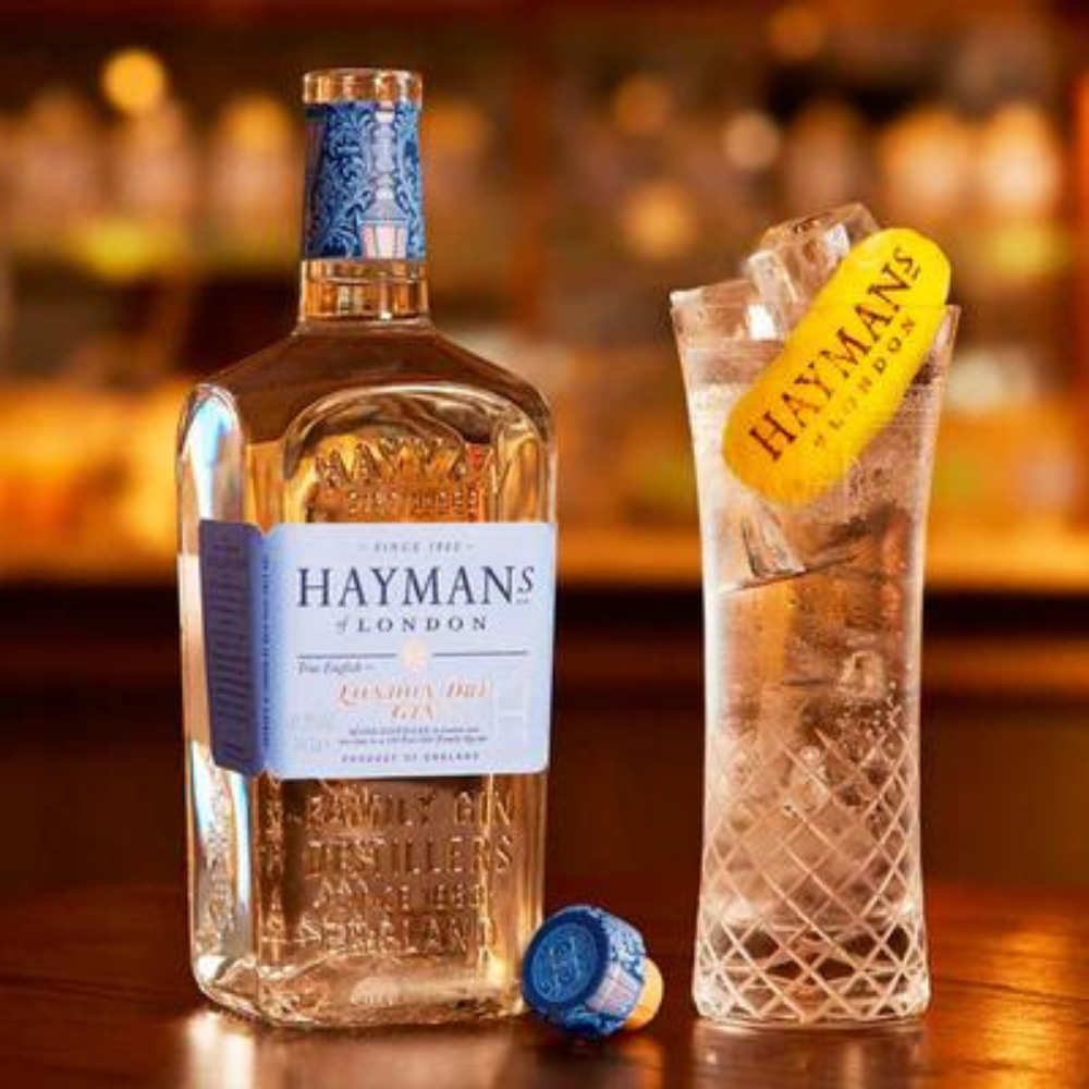 Gin Hayman's London Dry 700ml-2
