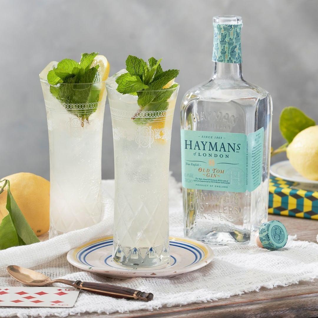 Gin Haymans Old Tom 700ml-1