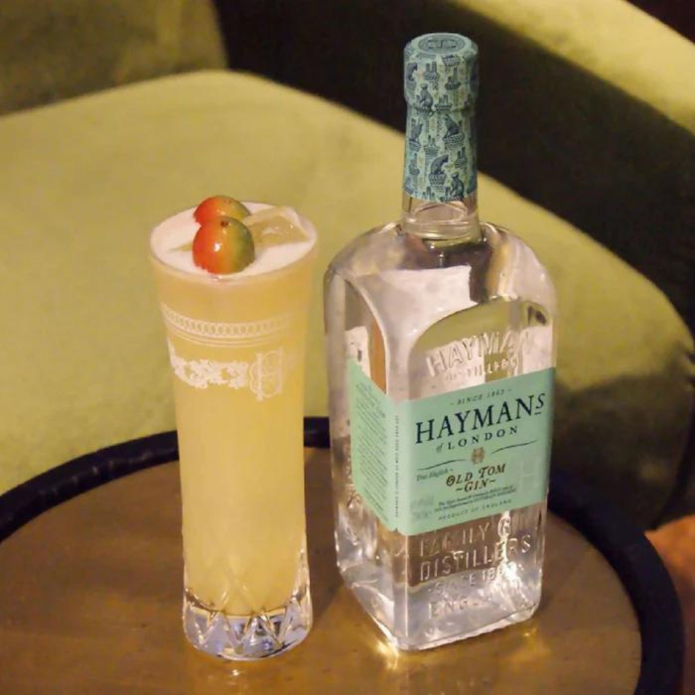 Gin Haymans Old Tom 700ml-2