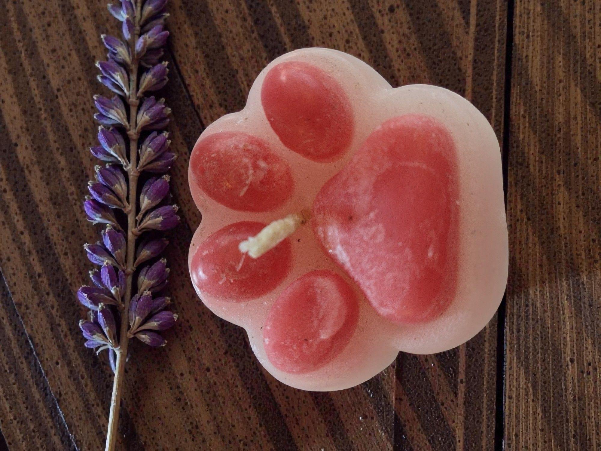 Vela Decorativa Patita de Mascota-2