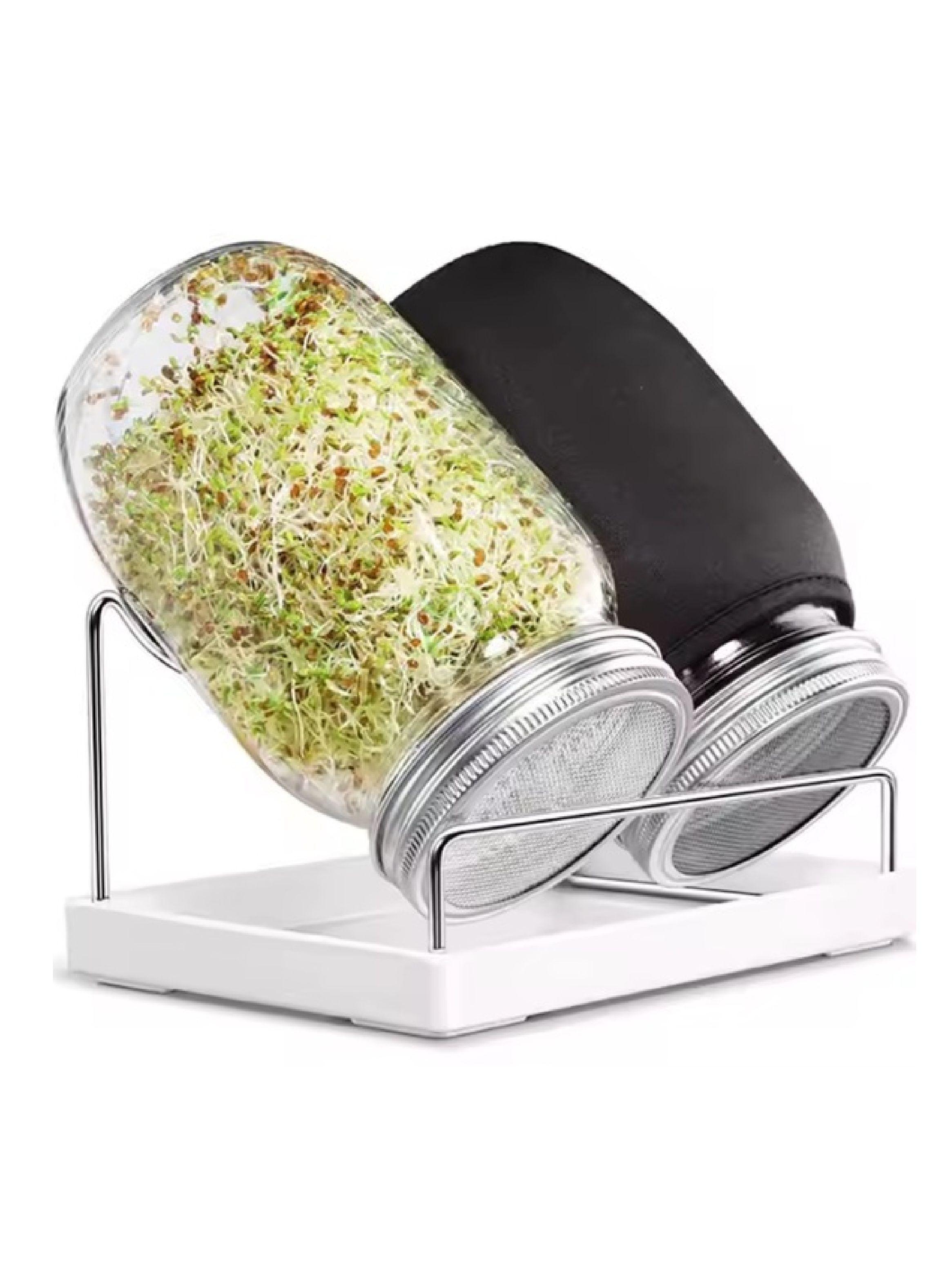 Set de 2 frascos germinadores 900cc, con base y soporte-6