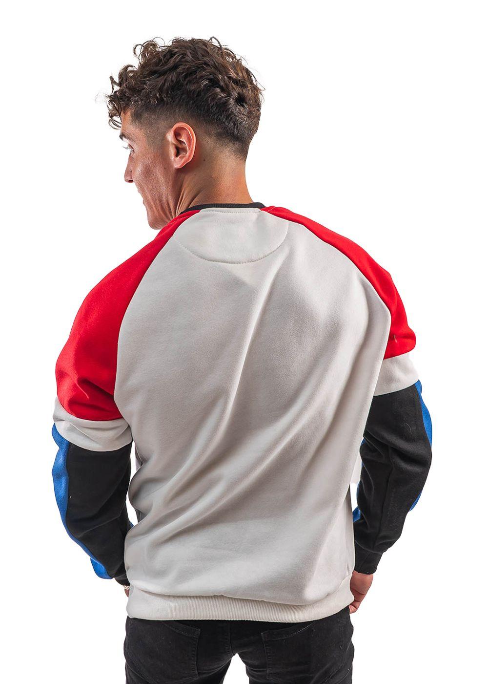 Polerón cuello redondo, diseño tricolor.-2
