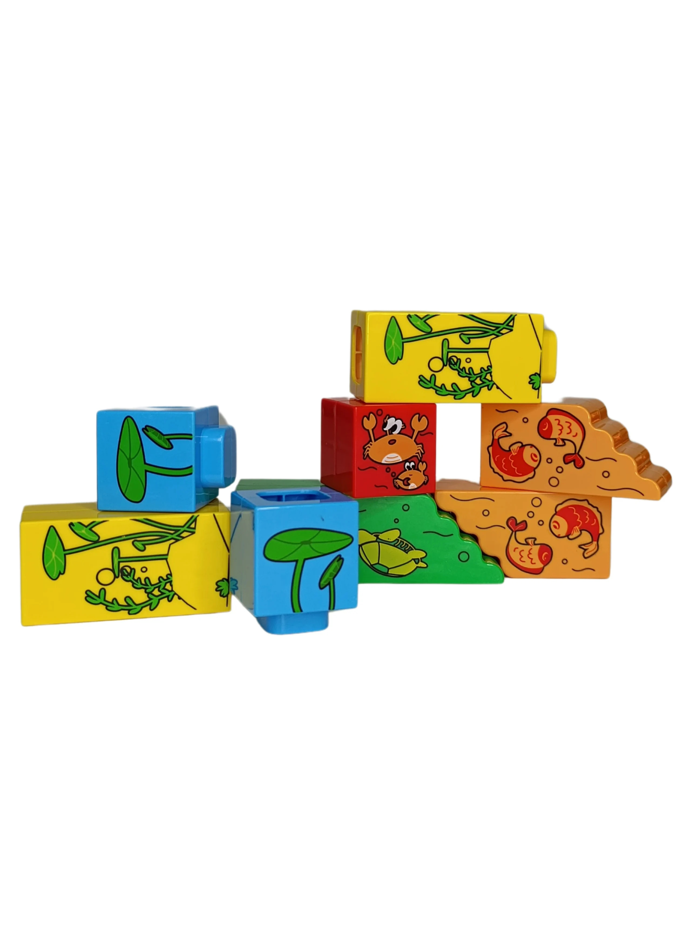 Juego de Mesa Todpole Finding Mummy-3