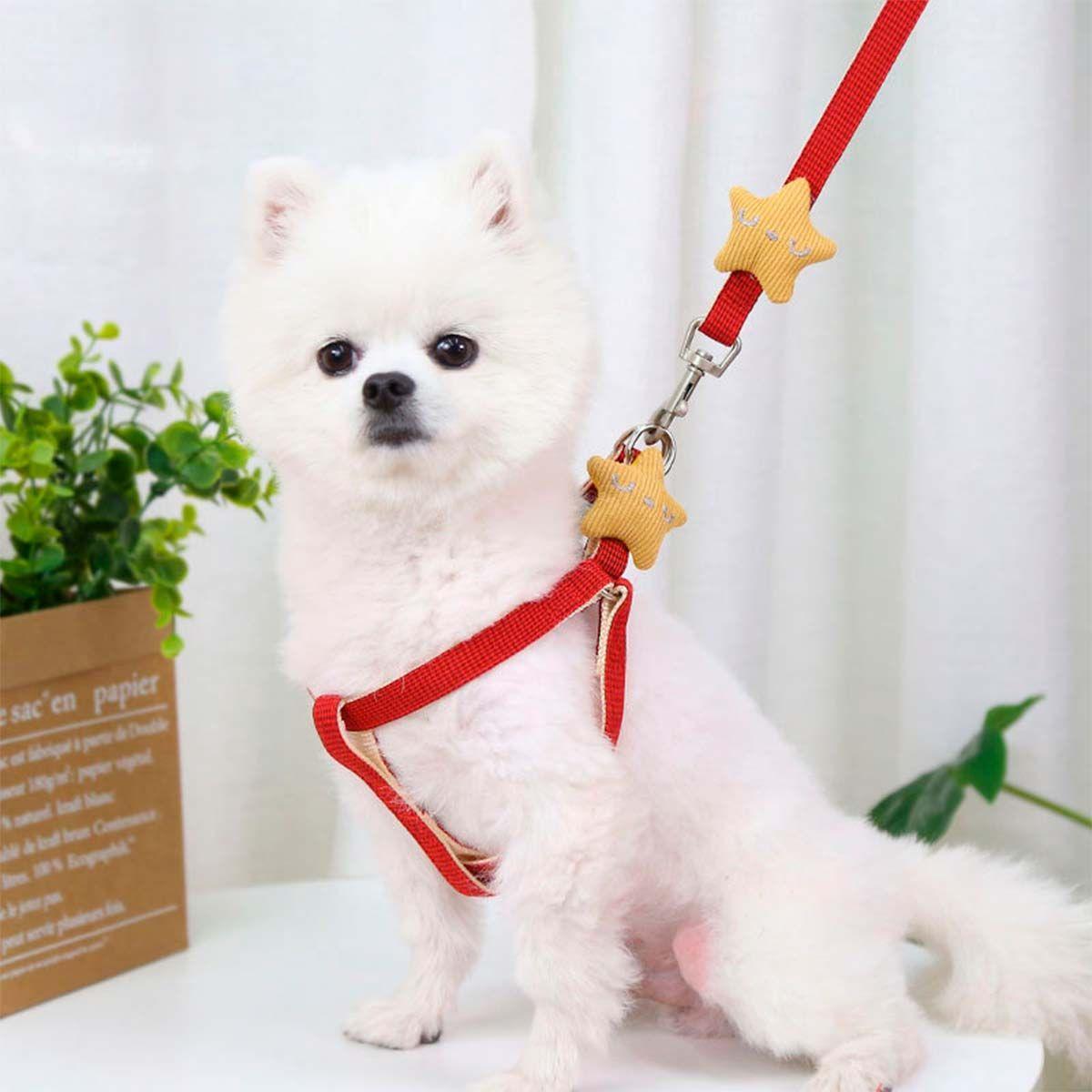 Arnes Pechera Transpirable + Correa Rojo Gatos Perros Mascotas-5