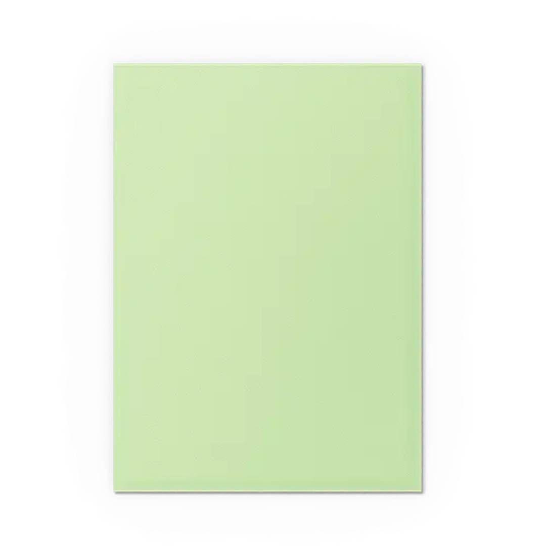 Protector Dragon Shield: Standard DUAL- Matte Gooseberry-2