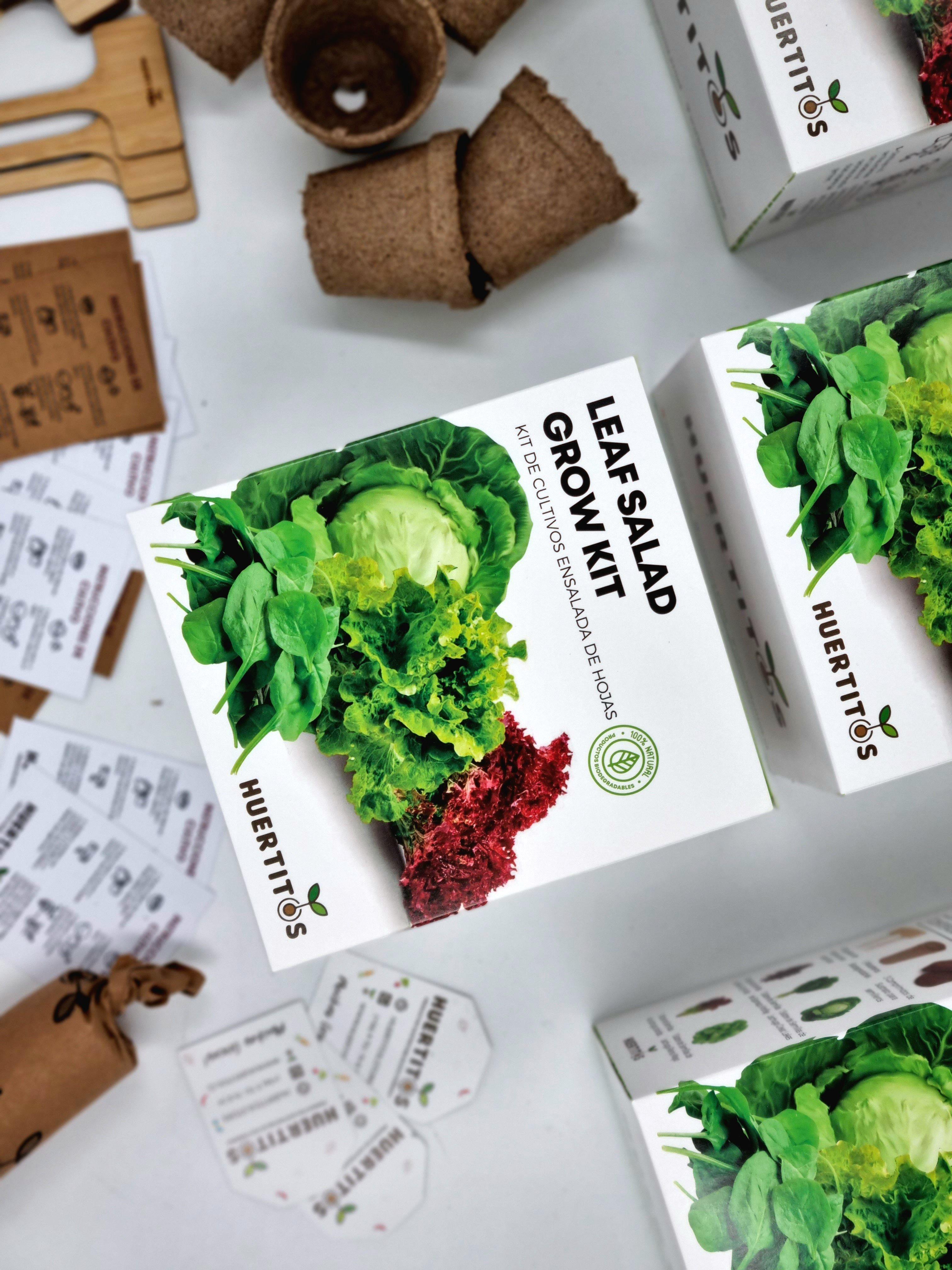 Kit de cultivo Ensalada de Hojas (GROWKIT)-1