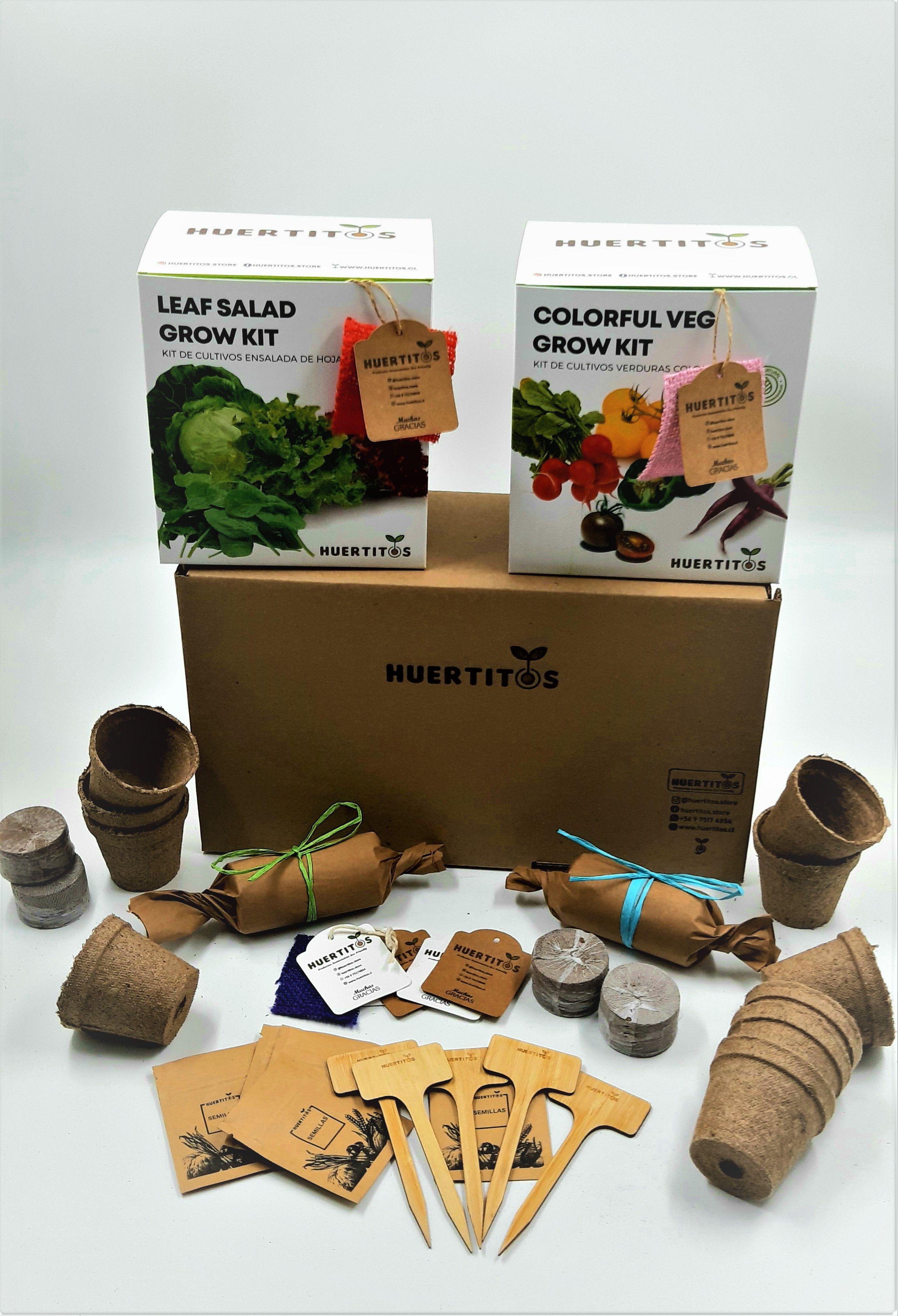 Kit de cultivo Verduras Coloridas (GROWKIT)-1