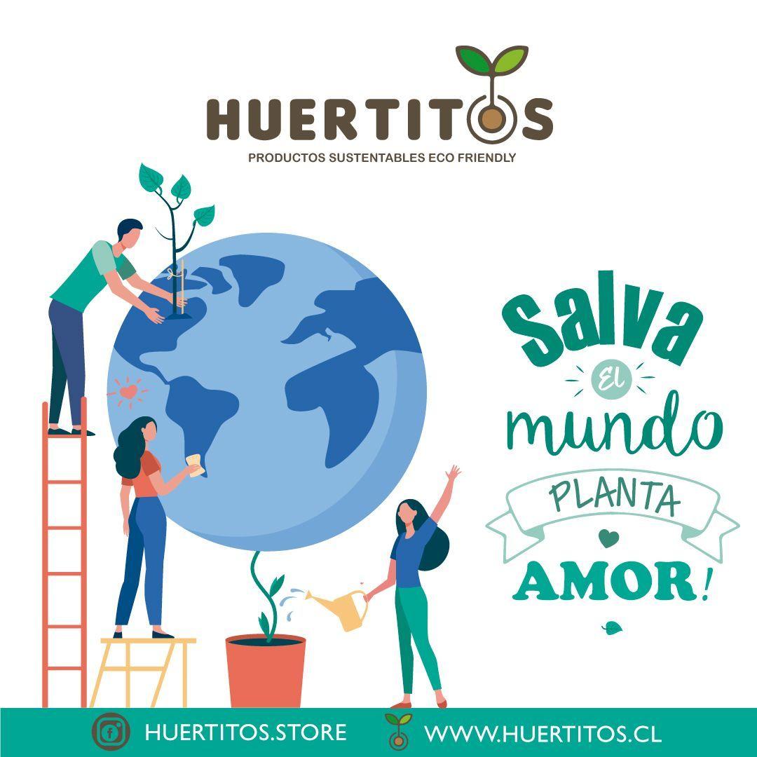 Kit de cultivo Pebre Chileno (GROWKIT)-2