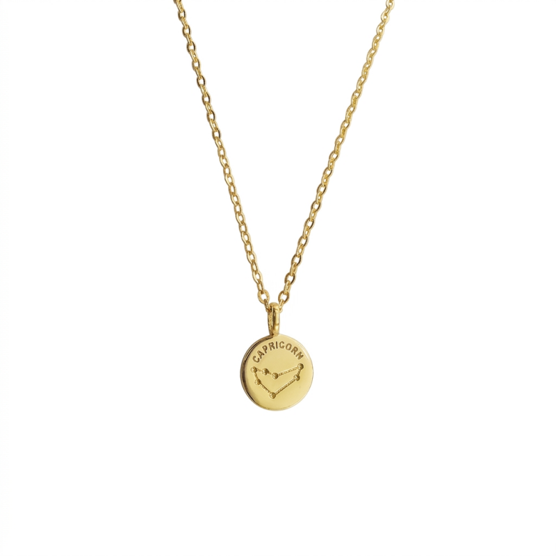 Collar Plata 925 Capricornio Signo Zodiacal-0