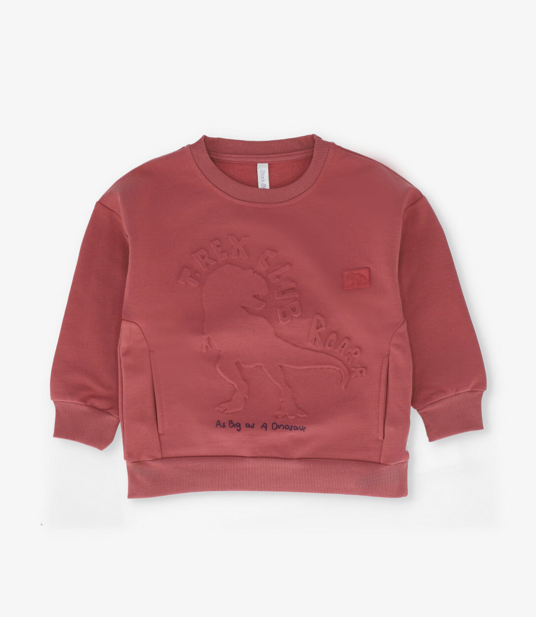 Polerón niño t-rex club terracota Black and blue-0