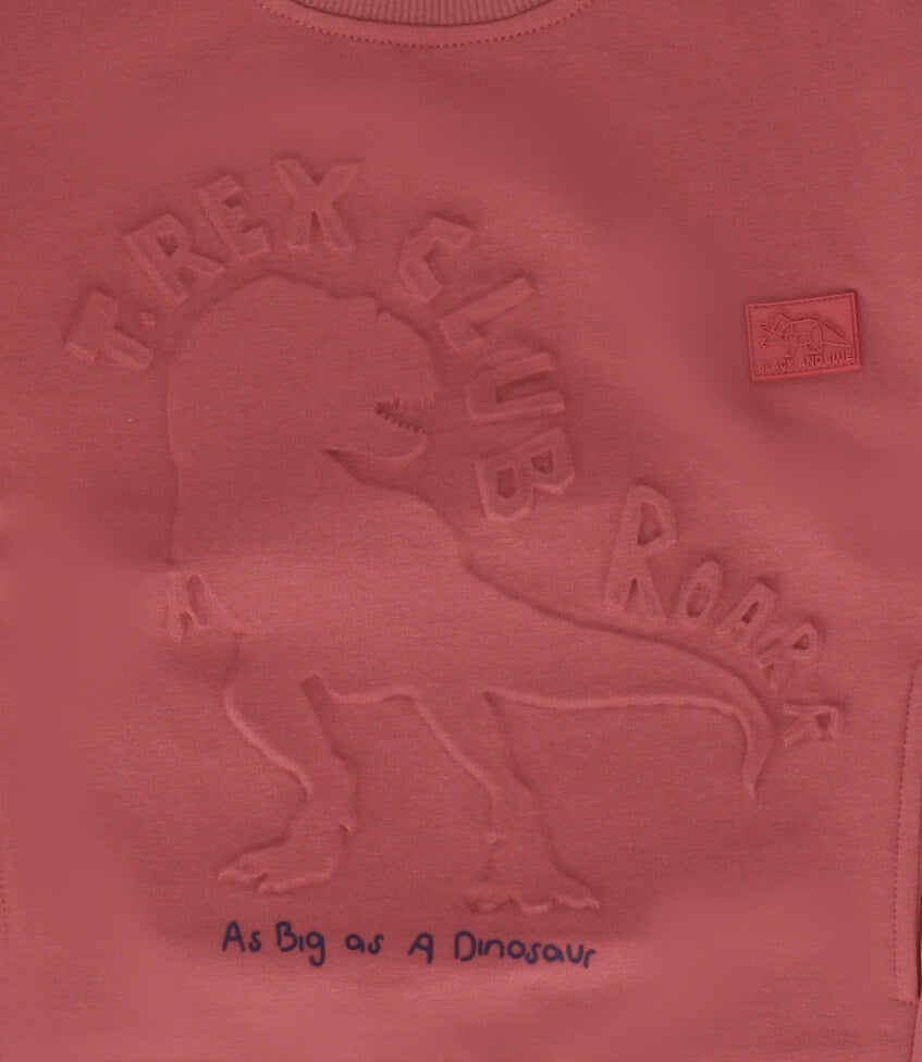 Polerón niño t-rex club terracota Black and blue-2
