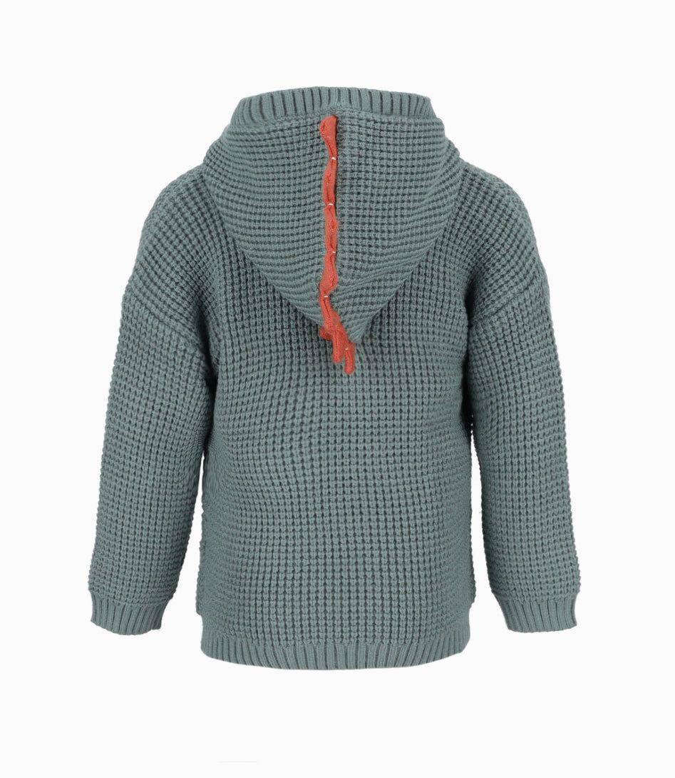 Chaleco bebés de dinosaurio verde militar Black and Blue-1