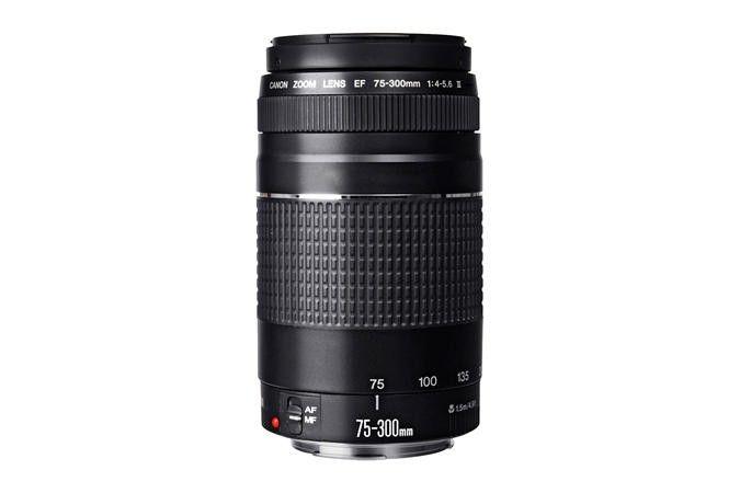 Canon EOS Rebel T100 Premium Kit-3