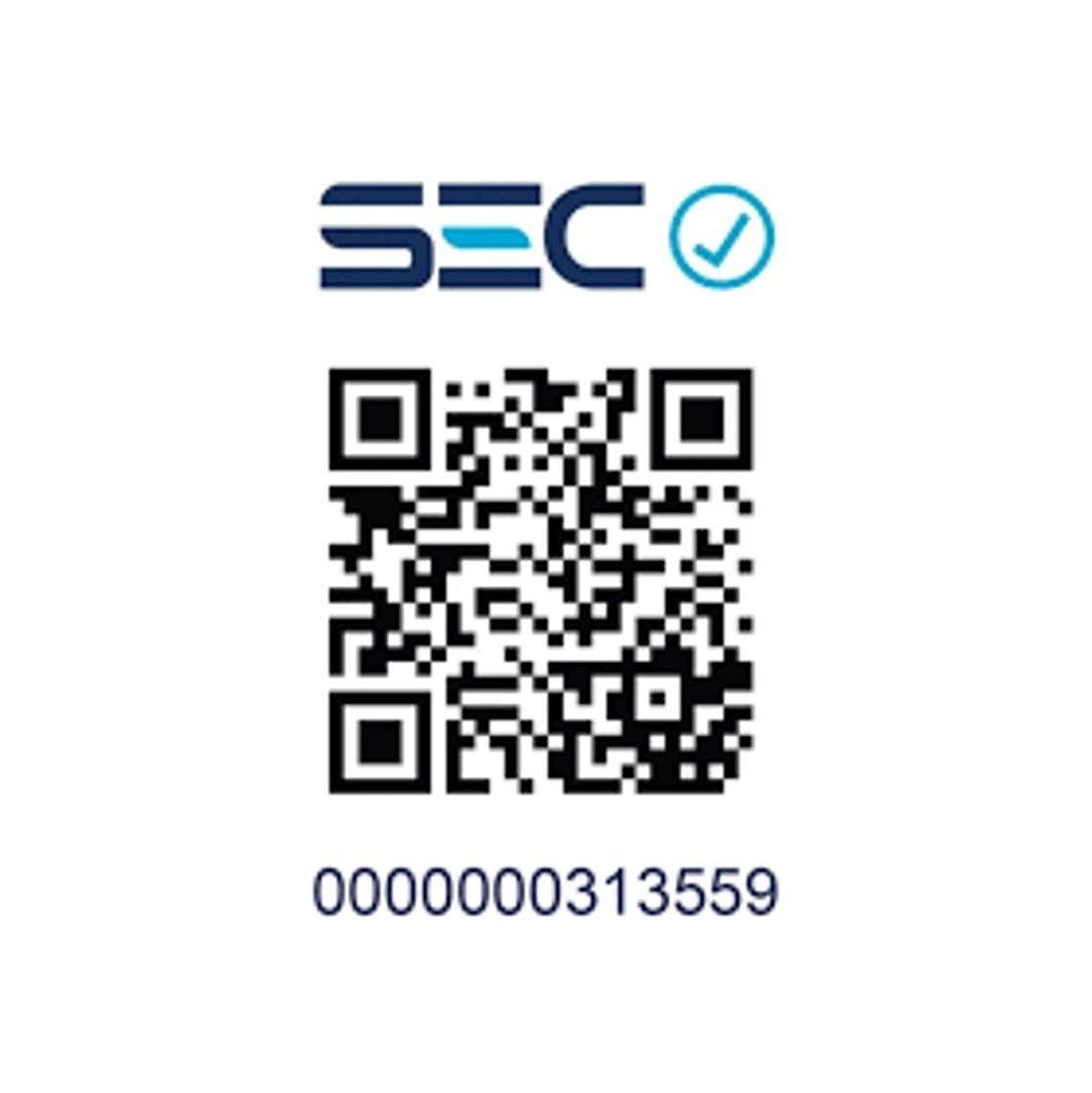 PLANCHA ELECTRICA 2000W A VAPOR EASY SPEED-6