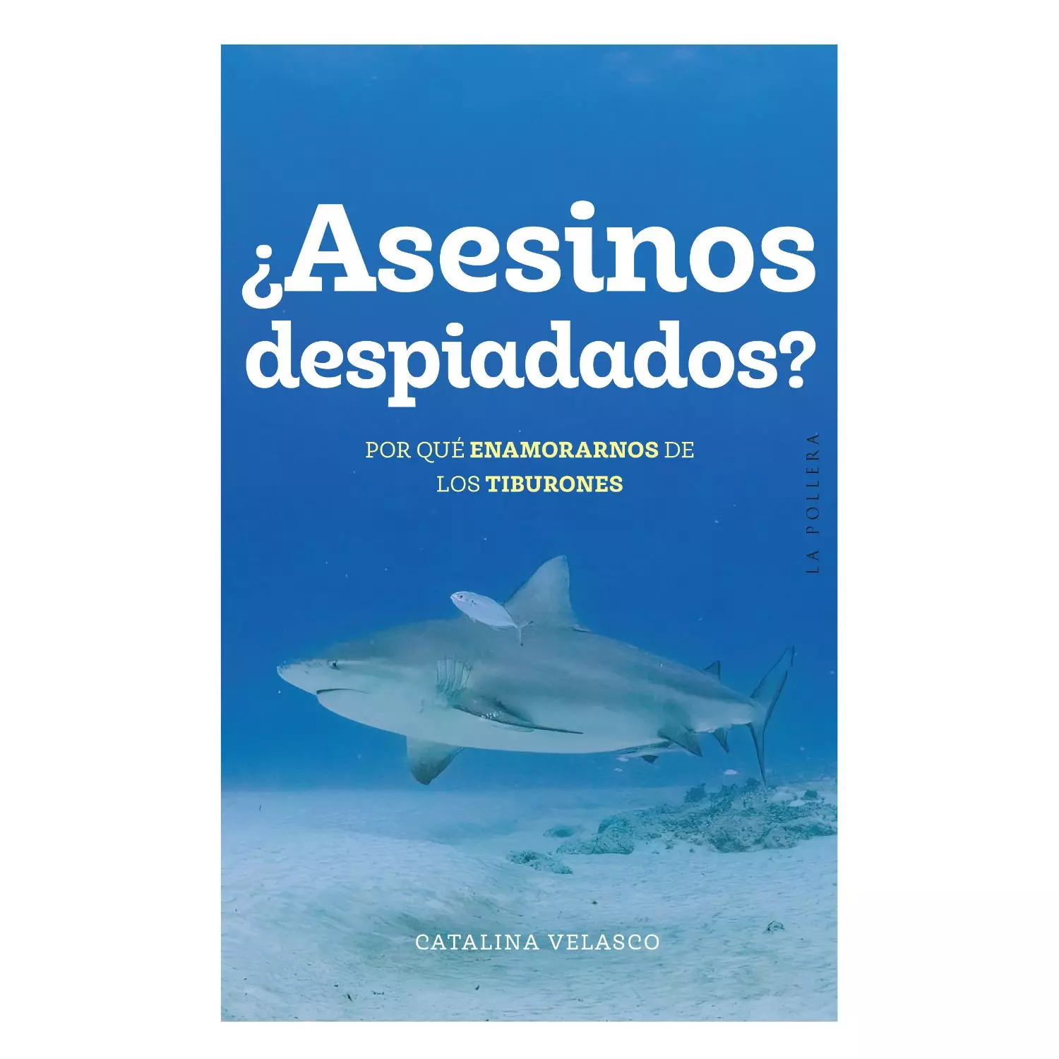 Imagen de producto