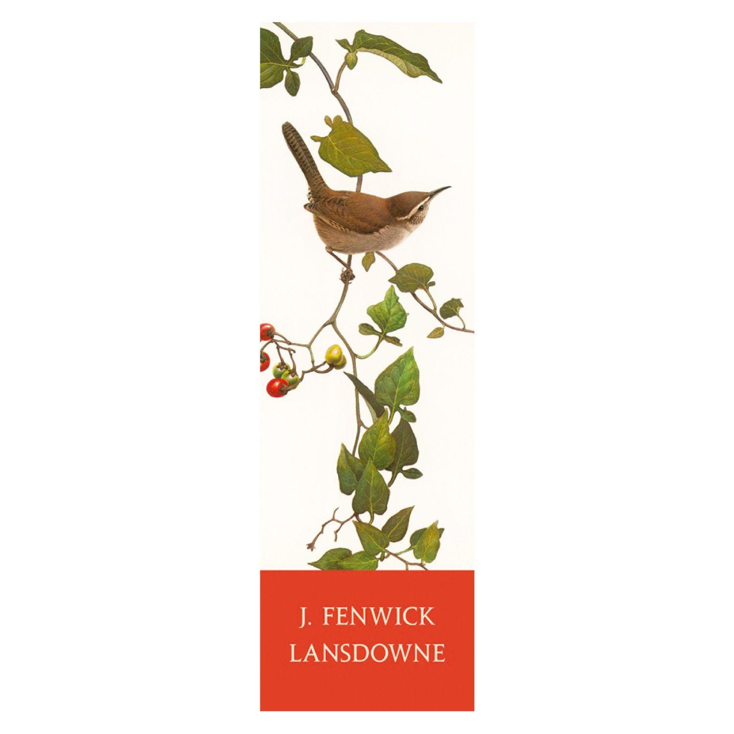 Marcapágina Bewicks Wren-0