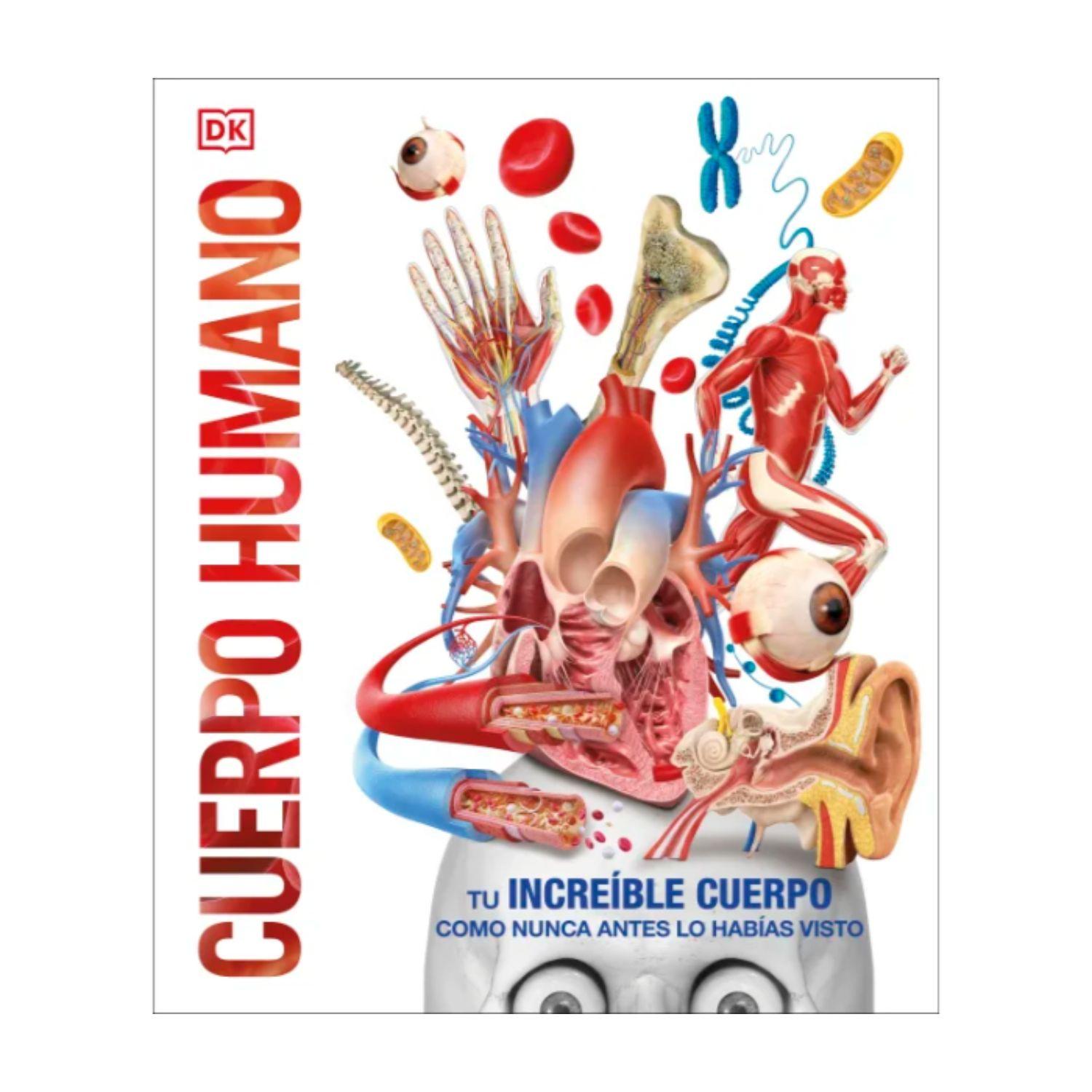 Cuerpo humano (Mundo 3D)-0