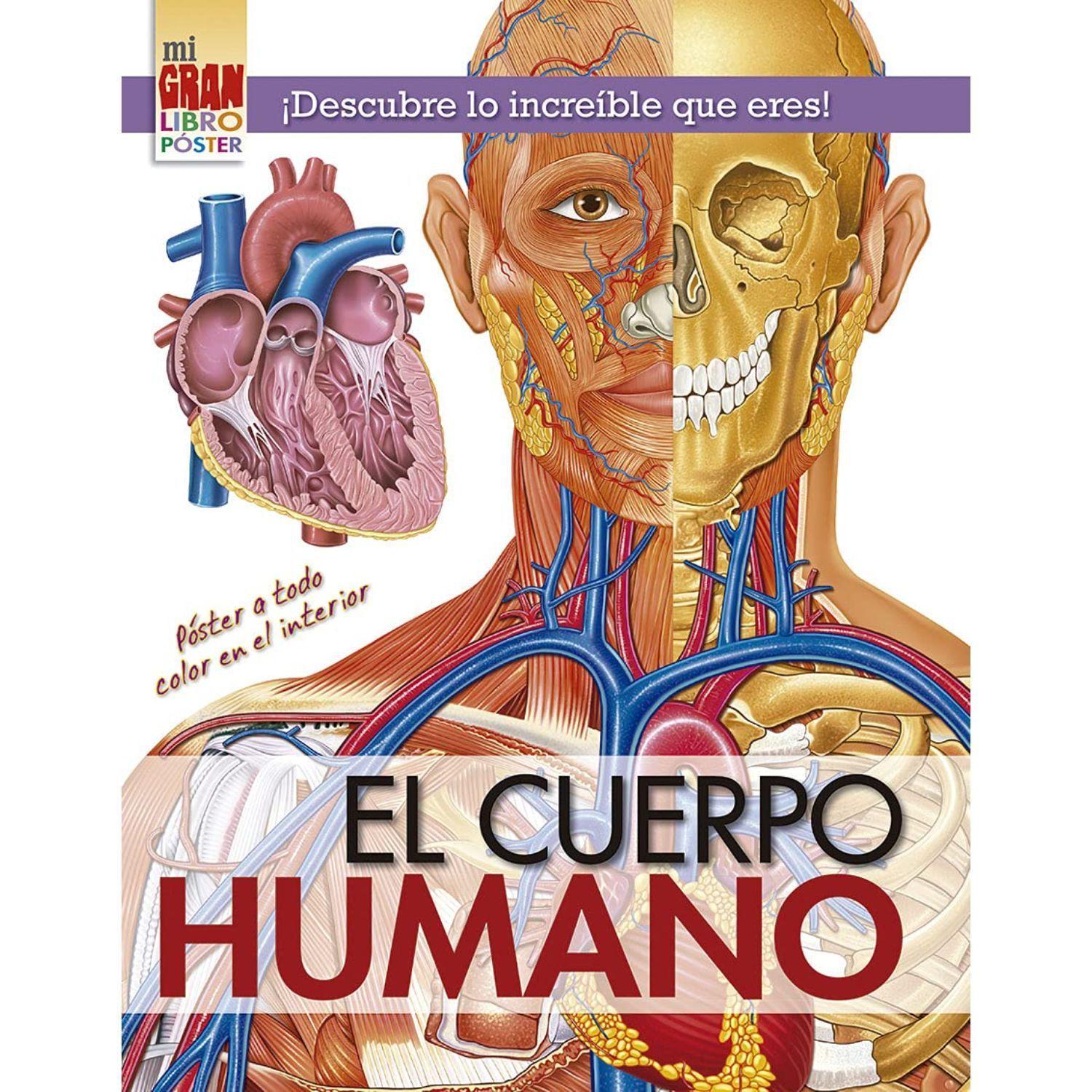 Mii Gran Libro Póster: Cuerpo Humano-0