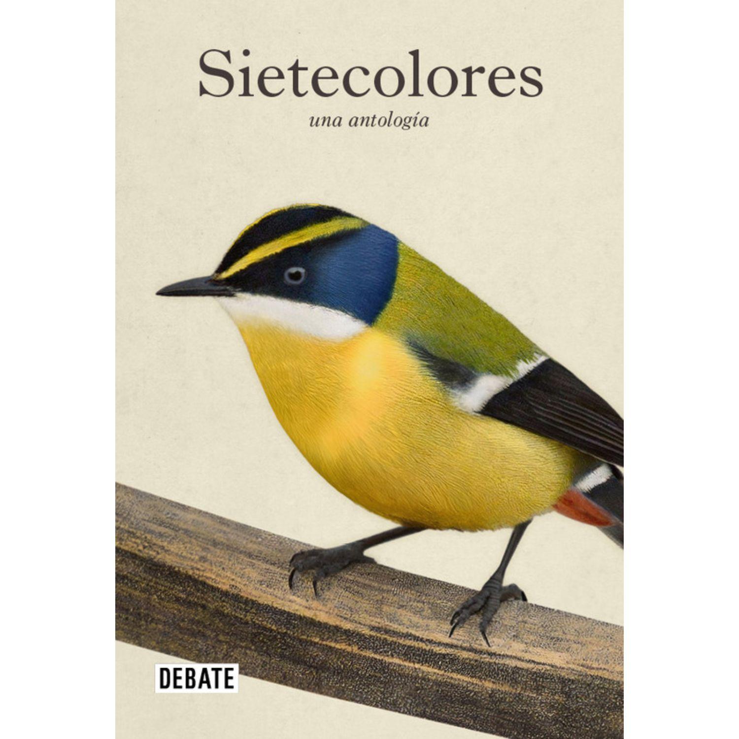 Sietecolores: Una Antologia-8