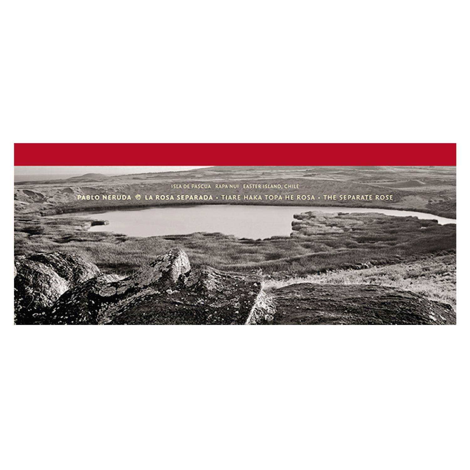 La Rosa Separada-0