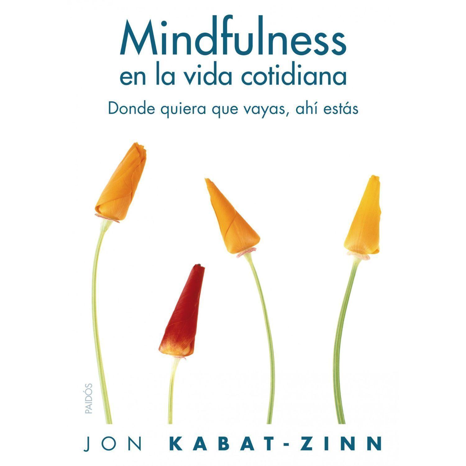 Mindfulness En La Vida Cotidia Na-0