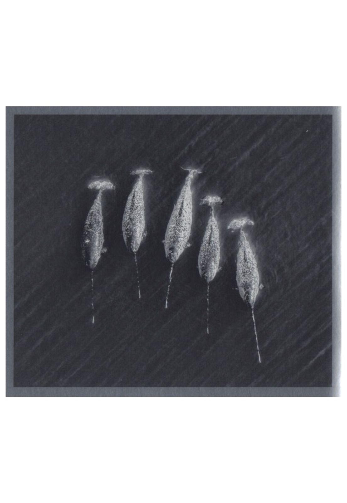 PEARL JAM - GIGATON (DIGIPACK) | CD-8
