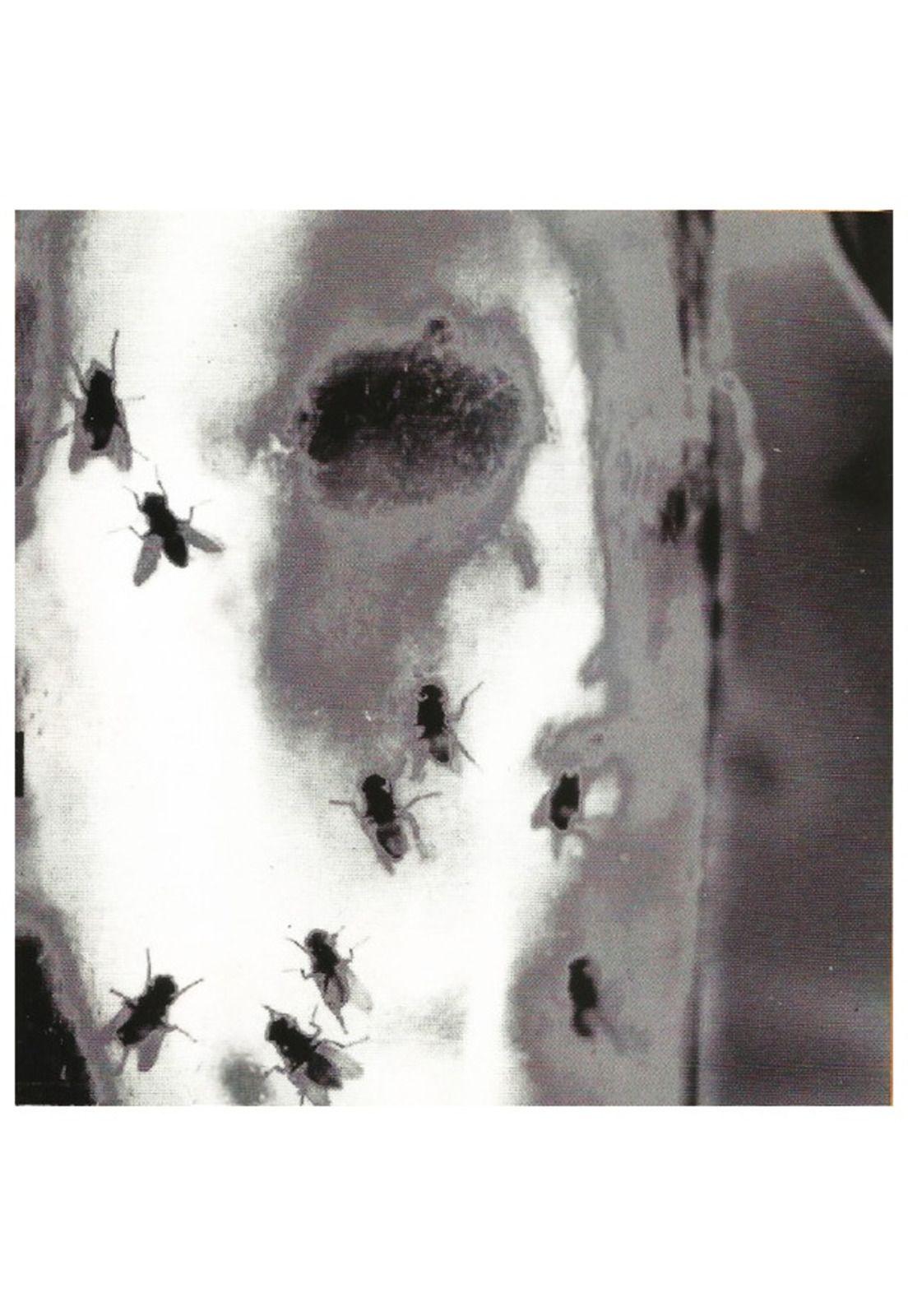 ALICE IN CHAINS - JAR OF FLIES | CD-9