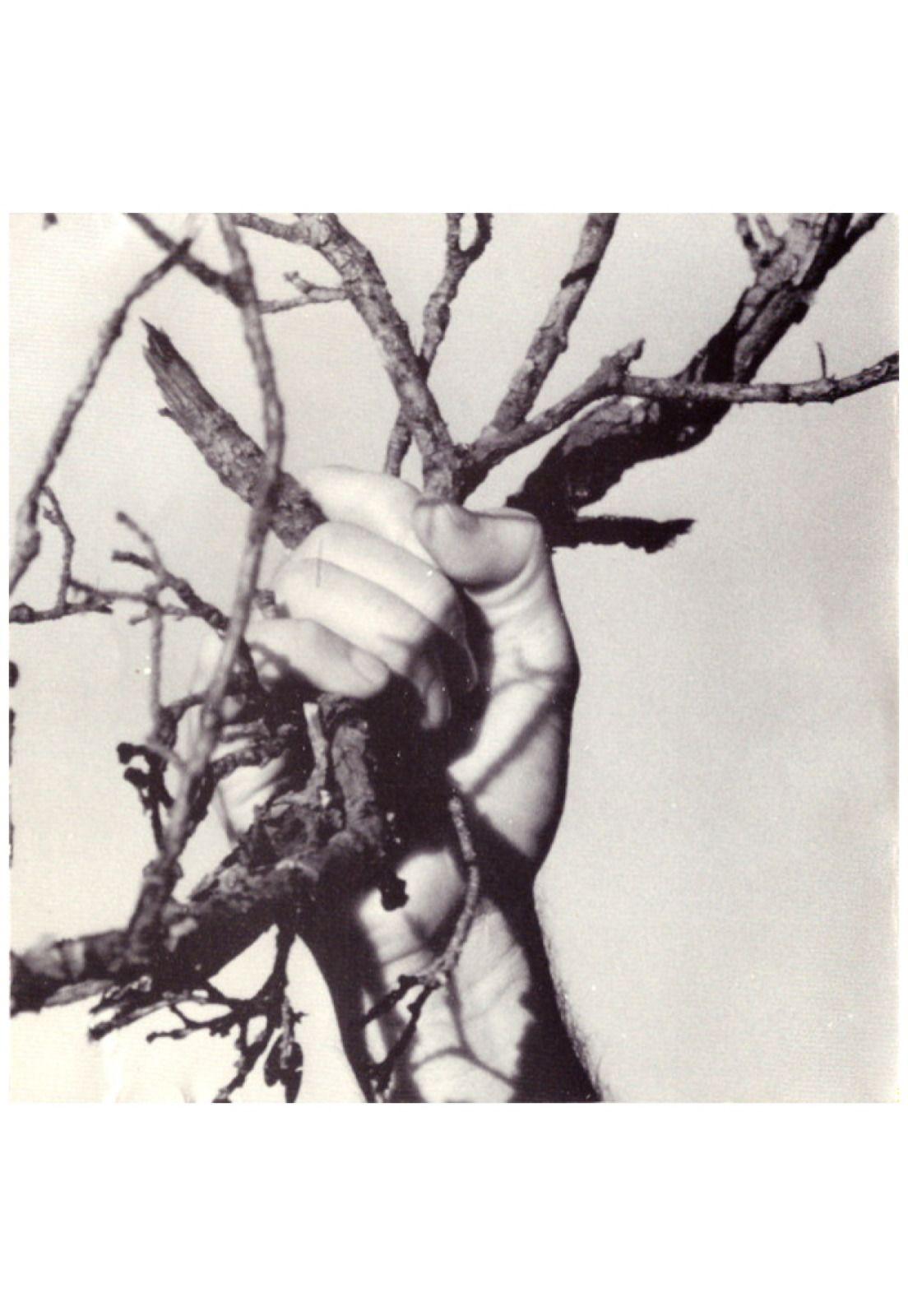 EMMANUEL - VIDA | CD-4