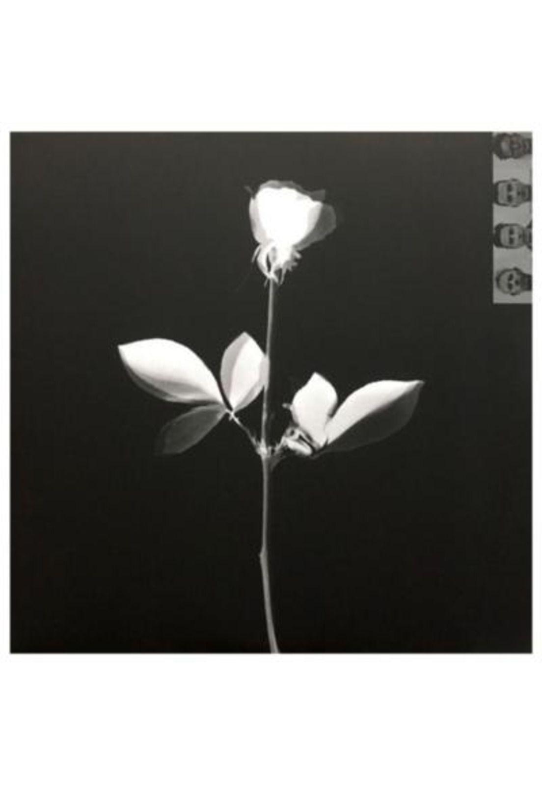 DEPECHE MODE - VIOLATOR | VINILO-1