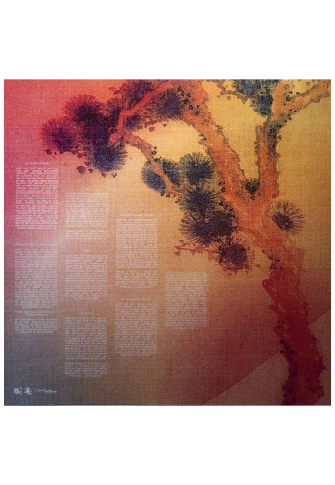 KANYE WEST & KID CUDI - KIDS SEE GHOSTS | VINILO-3