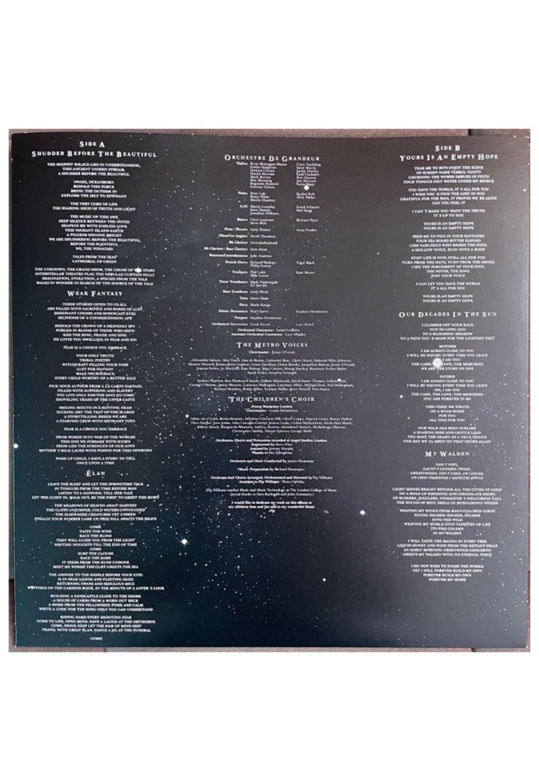 NIGHTWISH - ENDLESS FORMS MOST BEAUTIFUL (2LP) (CLEAR GOLD & BLACK VINYL) | VINILO-4