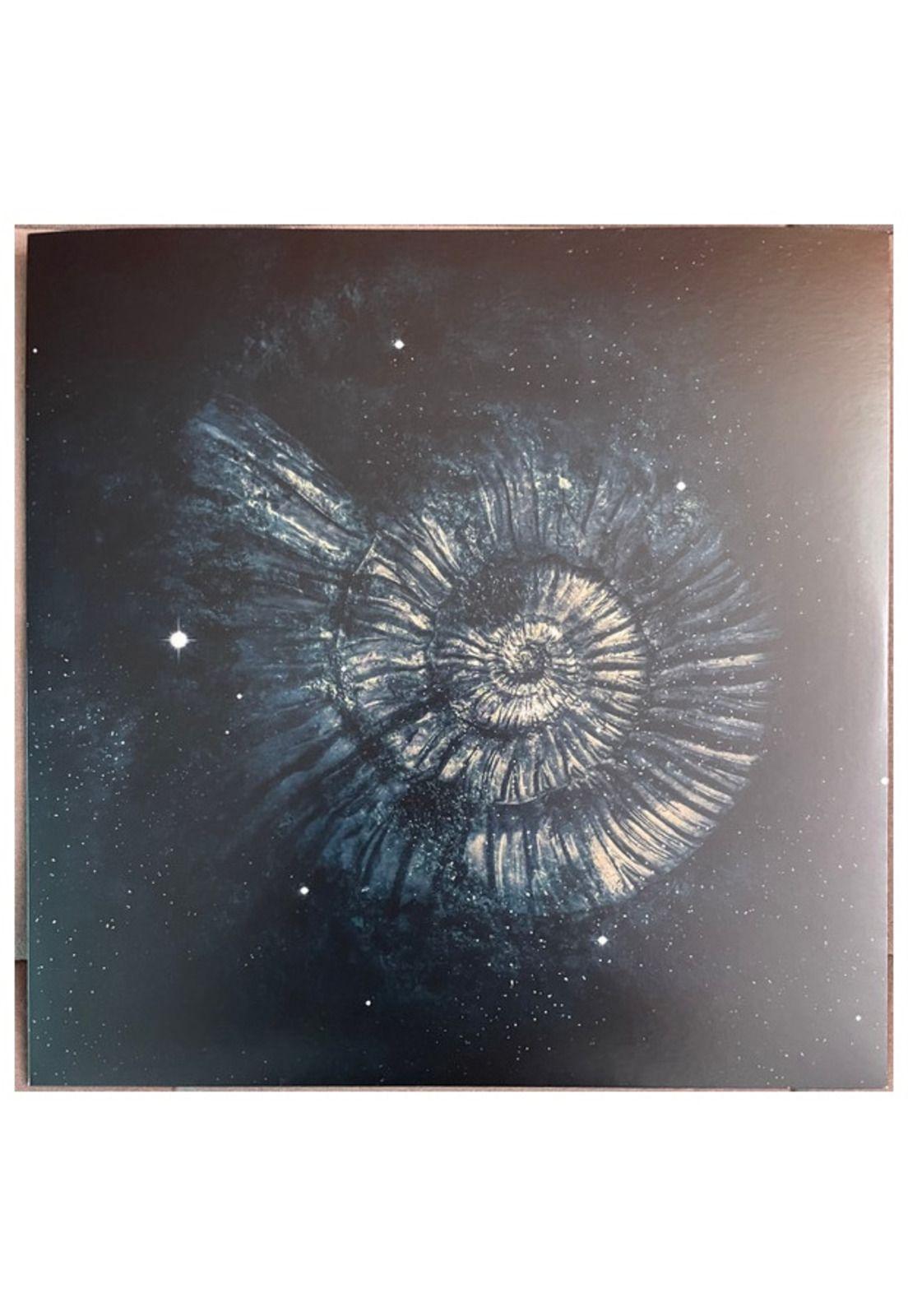 NIGHTWISH - ENDLESS FORMS MOST BEAUTIFUL (2LP) (CLEAR GOLD & BLACK VINYL) | VINILO-5