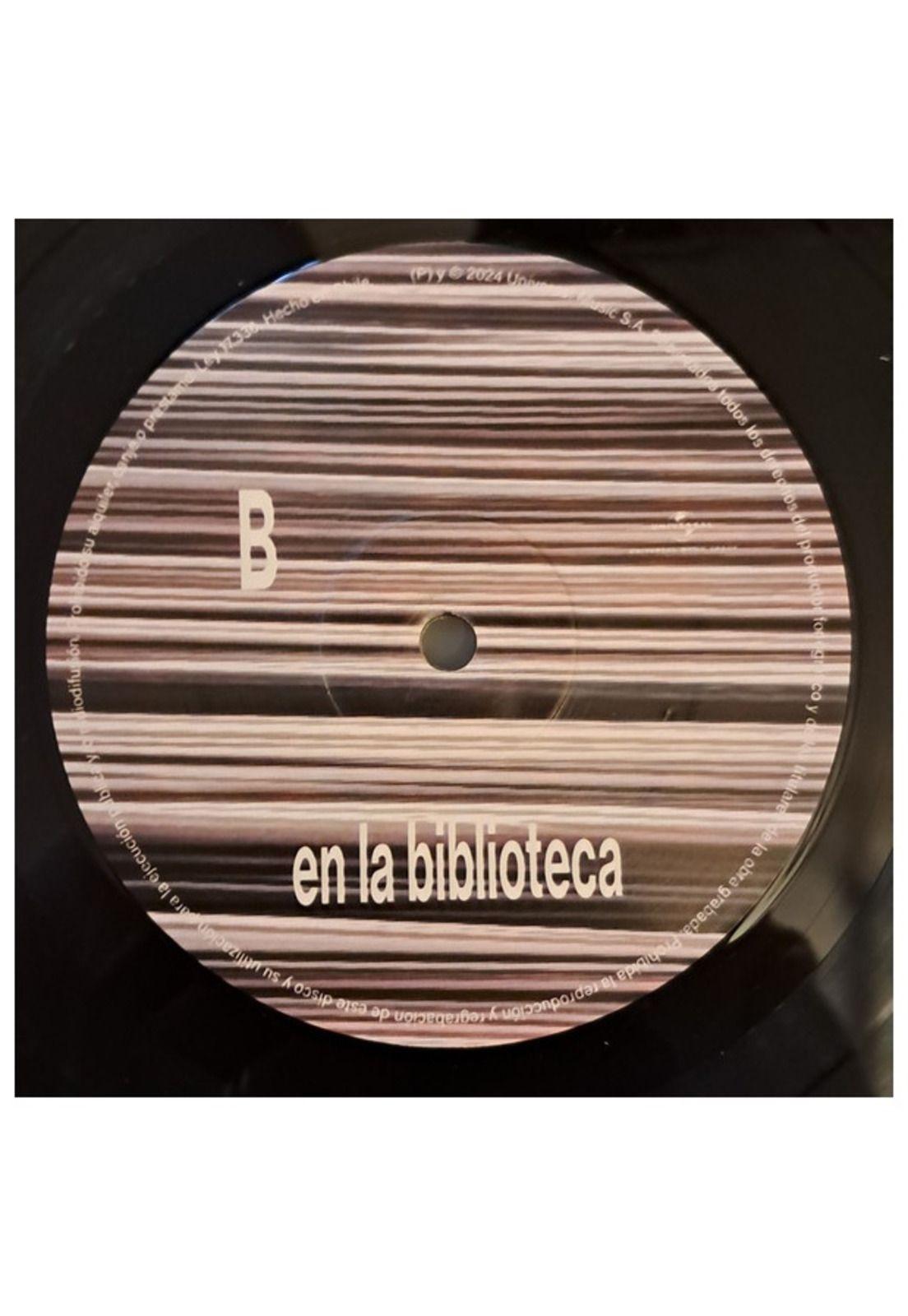 ELECTRODOMESTICOS  - EN LA BIBLIOTECA (GRANDES EXITOS) | VINILO-3