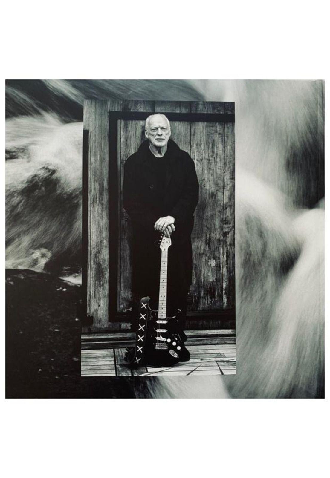 DAVID GILMOUR - LUCK+ STRANGE (BLUE VINYL) | VINILO-2