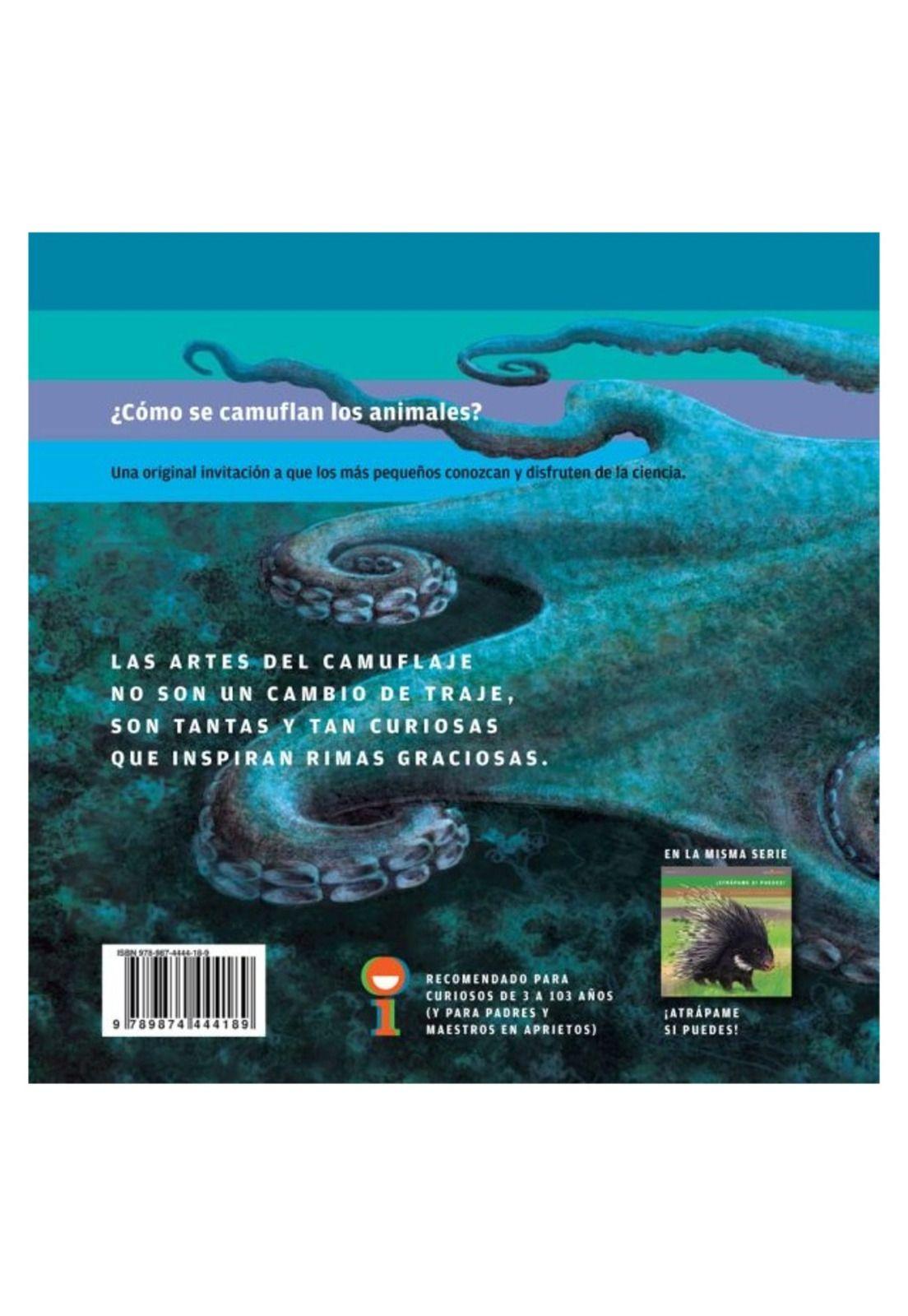 ENCUÉNTRAME SI PUEDES (CARTONÉ) - MARÍA MARTÍN; ILEANA LOTERSZTAIN | LIBRO-2